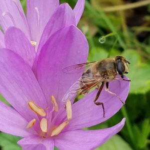 Meet your Posher, Jody